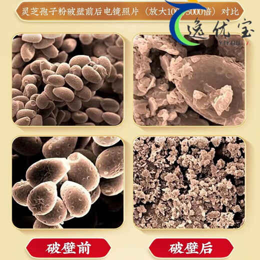 Peking Tongrentang Tongrentang Blue Hat Zertifizierung Bruch Wand Ganoderma Sporenpulver Erwachsener mittlerer Alters und ältere Ganoderma Powder 1 Box 40 g [Geschenkbox [3 Kisten] Gesamt 120 g [Breaking Wall Spore Pulver
