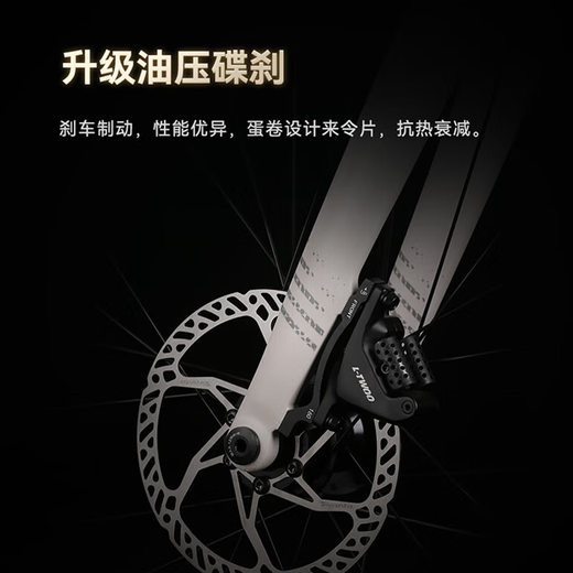 喜德盛（xds）25新款AD300公路车 开箱即骑全隐藏车架20速油碟桶轴ad成人自行车 白蛇 | 顺丰包邮 510mm（身高170-180cm）