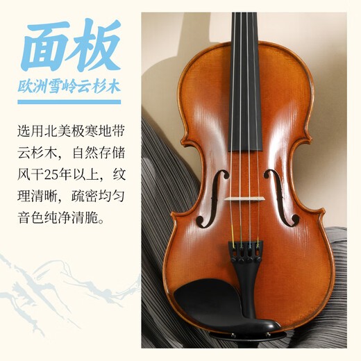 SUZUKI日本铃木进口小提琴实木儿童成人初学4/4专业演奏考级 V特1R 【4/4】适用身高155cm-220cm