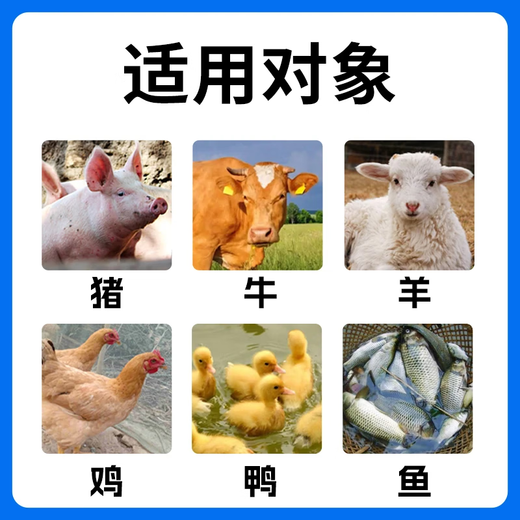Compound probiotics for pigs, cattle, sheep, chickens, ducks and goose, diarrhea, improvement of intestinal constitution, strong additives 1000ml/bottle, can be mixed with 2000Jin Jin is equal to 0.5kg