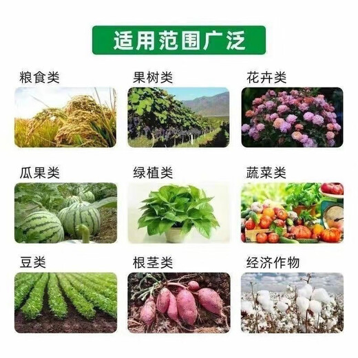 Agricultural potassium chloride Russian high-efficiency high-potassium flower instant fruit tree fertilizer vegetable general red potassium fertilizer original package express to towns