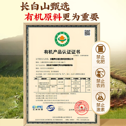 同仁堂破壁灵芝孢子粉增强免疫力 中老年术后送礼滋补保健品 北京同仁堂 【蛇年送礼】15袋*6盒 赠礼袋