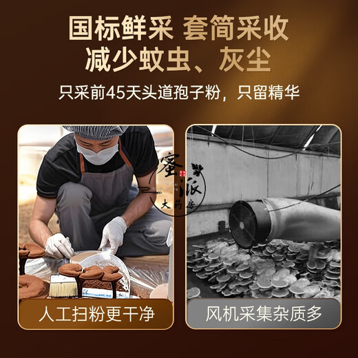 北京同仁堂野芝堂牌破壁灵芝孢子粉胶囊中老年人增强免疫力体虚体弱送礼长辈 破壁灵芝孢子粉胶囊三瓶周期装（2瓶价）