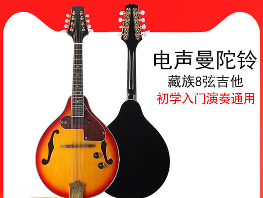 Otras marcas de instrumentos de cuerda occidental, piano de guitarra de mandolina de la mandolina acústica eléctrica, instrumentos étnicos, mandolina tibetana, bolsa de mandolina