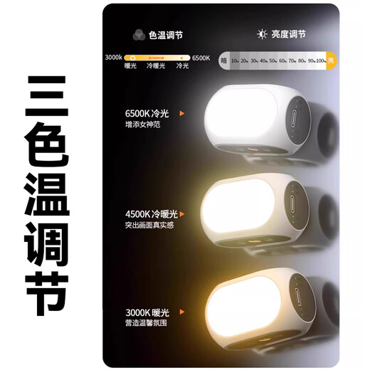 IMVPvivo x200直播手机无线蓝牙遥控器多功能变焦三脚架助拍器辅助防抖演唱会长焦vlog视频拍摄录制 D.助拍器自拍杆+补光灯+变焦助拍器【充电宝款】