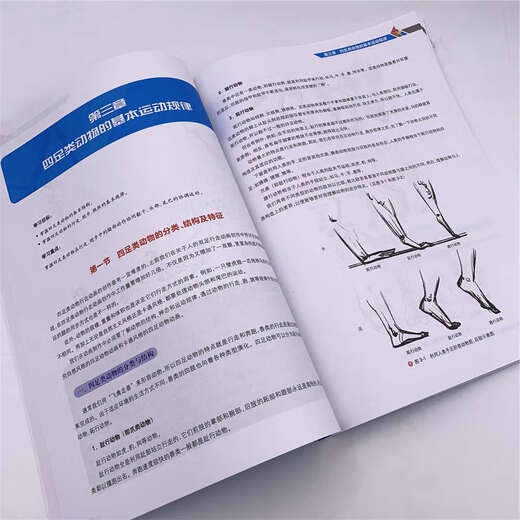 [Nouvelle version authentique] Animation Motion Laws and Time Mastery Tsinghua University Press 9787302512189 Lois des mouvements d'animation et la maîtrise du temps Tsinghua University Press 9787302512189 Animation Motion Motion et Time Mastery Tsinghua University Press 9787302512189 Animation des lois sur l'animation et la maîtrise du temps