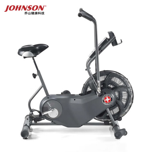 JOHNSON Wind Resistance Spin Bike Schwinn AD6i Fan Bike Belt Low Noise Luxury Home Exercise Bike Black