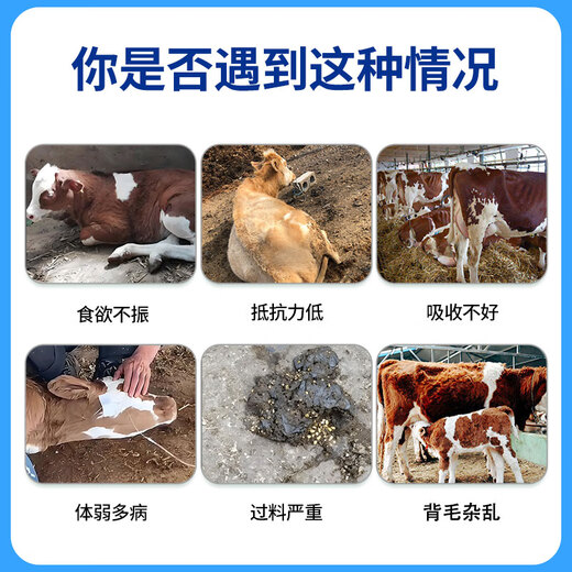 Inmer Inmer growing cattle premix special for calves fast growing calves calf skeleton trace element feed wholesale cow premix 20kg*2 bags 102 per bag