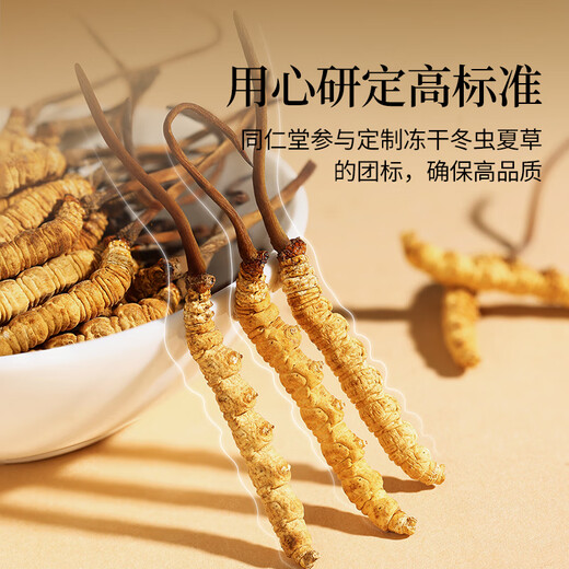 同仁堂品牌冬虫夏草约4-5根/g20g约80根虫草礼盒营养滋补品送礼送长辈