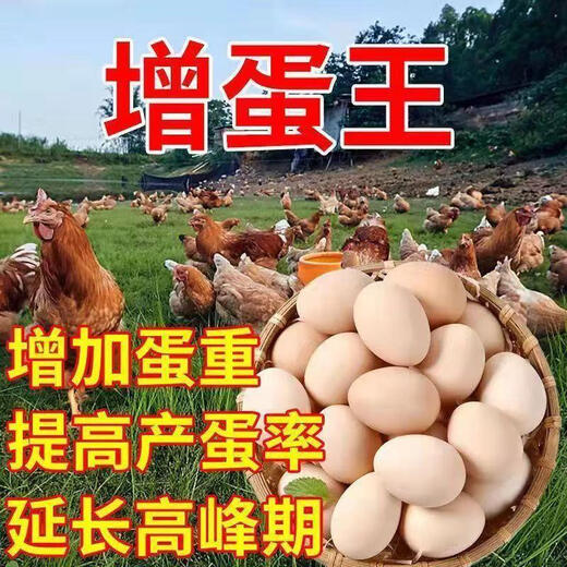 Egg-increasing Bao chicken egg-laying egg Duoduo chicken, duck, goose and poultry general egg-laying Bao quail, pigeon and chicken egg-laying medicine 1 bottle special for poultry egg-laying