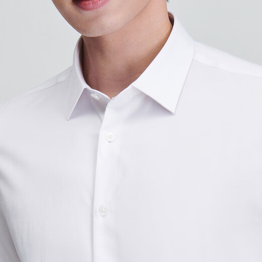 Camisa formal de Newshun Bird Summer Summer New Style Mass's Business Business Camiseta Formal de manga corta