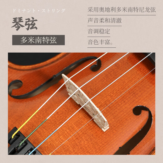 SUZUKI日本铃木进口小提琴实木儿童成人初学4/4专业演奏考级 V特1R 【4/4】适用身高155cm-220cm