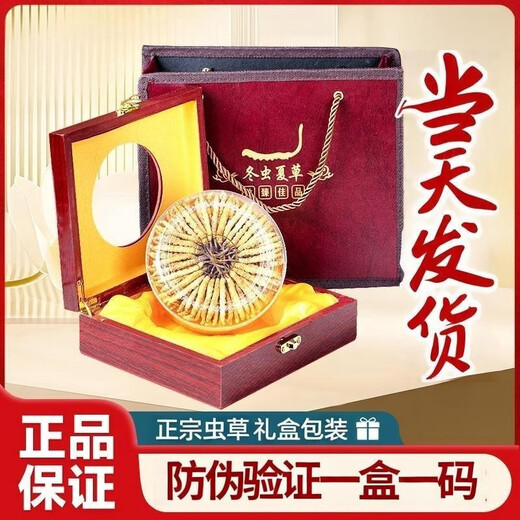 Ausgewählte Cordyceps sinensis cordyceps sinensis hoher Höhe des Kopfstadiums Cordyceps sinensis Geschenkbox verfügbar. 3 1 Gramm Cordyceps sinensis in Tibet Nago Cordyceps sinensis 10 Stück