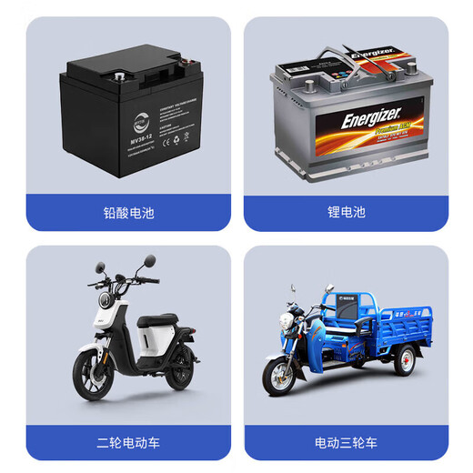 International Electrician Intelligent Electric Vehicle Charging Protector Fully Automatic Power Off Socket Anti-Overcharge Protection Socket Battery Vehicle Special Charger Protector Plug with Digital Display Upgraded Model Without Cord With Digital Display Plug and Play