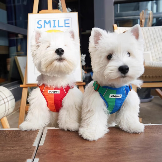 Ycqpet dog leash reflective chest harness small dog vest style dog leash dog leash dog chain dog leash Y15 green M