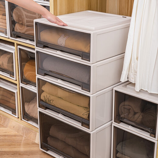 Armoire de rangement Boîte de rangement Boîte de rangement de rangement ménage Vêtements armoire Tri Boîte de rangement en plastique modèle 3523 profondeur 47 * largeur 35 * Hauteur 23cm Special One Tea Couleur