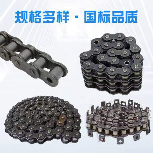 Jinhonghai roller chain 20A-1X100