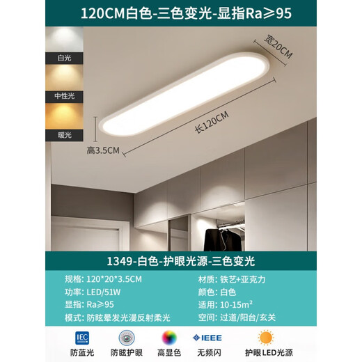 大观园过道灯吸顶灯智能无频闪防蓝光高显指图750*1000 1349-60cm白色-无极-全光谱