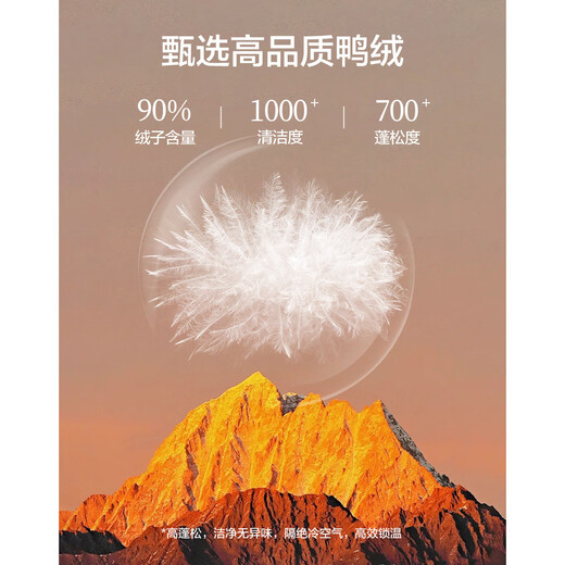 Demana Lightweight and High Warmth Winter Contrast Color High-Quality Small Commuting Age-Reducing Hooded Short Down Jacket for Women