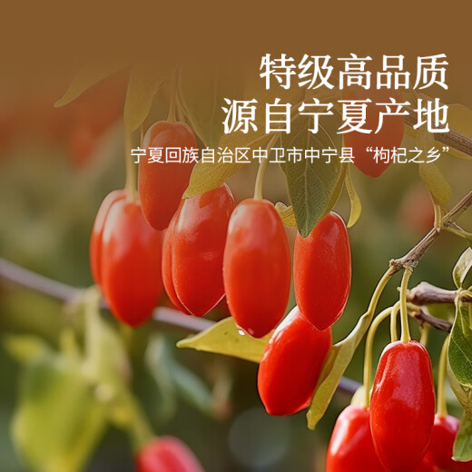 同仁堂品牌 北京同仁堂特级红枸杞100克宁夏正品拒绝硫磺泡水泡酒养生茶