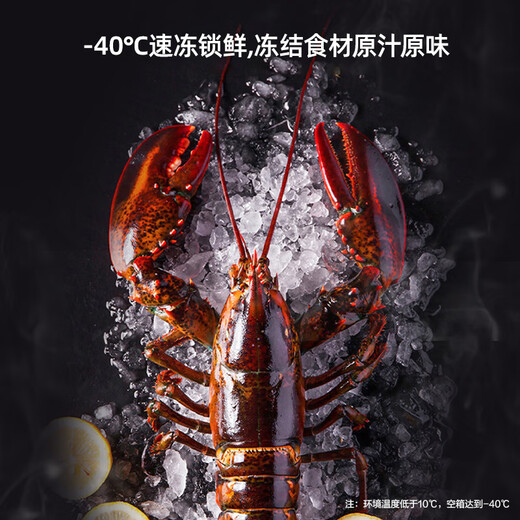 MeiLing Big Eye electronically controlled 100-liter single-temperature household refrigerator-freezer frost-reducing direct cooling first-level energy efficiency-40 quick-freezing electronic temperature-controlled pcm liner BC/BD-100DTECX