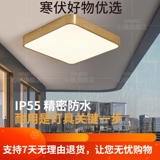 映棠全铜户外吸顶灯别墅大门口门前灯室外过道阳台灯防蚊虫庭 X3895-4 X3895-400/圆形/三色可调