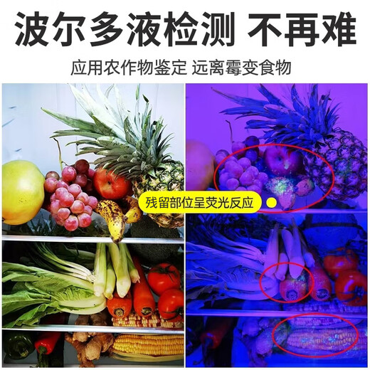 MOTIE Purple Lamp Identification Wood's Lamp UV Flashlight 365nm Fruit and Vegetable Fluorescent Detection Pen Plate Banknote Inspection