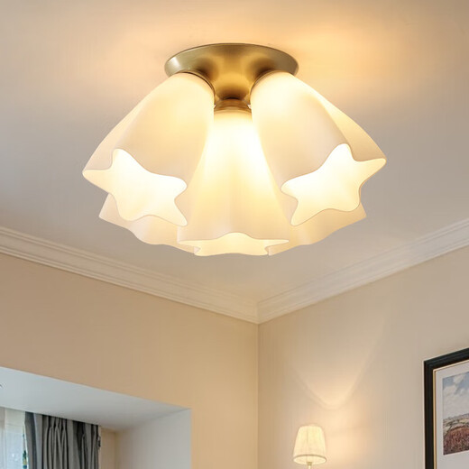 
Pupan Nordic Yunduo Ceiling Light Luxury Restaurant Internet Celebrity Living Room Wedding Room Children's Room Bedroom Guangdong Zhongshan Lamp C9926-1 Top Dish-L-ED Warm Light