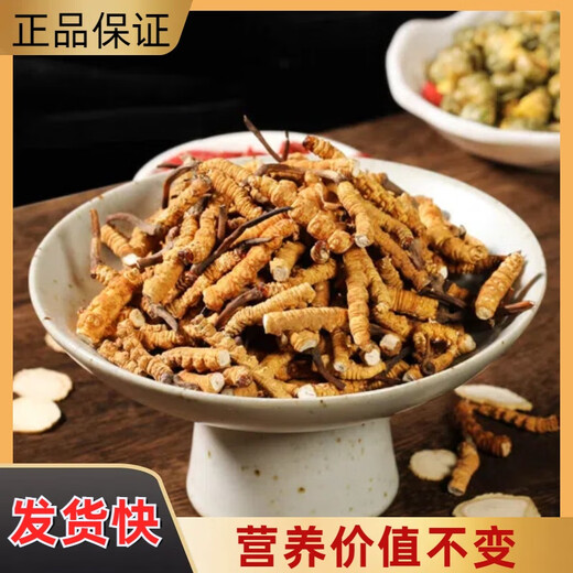 【支持质检】虫草大断草正宗冬虫夏草断草虫草断草自食滋补正品 正宗藏区虫草大断虫草 10克装送一克发11克