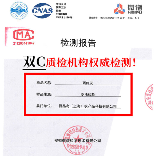 Zhenpin Island ZHENPDO 2025 New Flower Authentic Shanghai Chongming Safran Spezial-Safran-Geschenkbox Safran-Tonic Exclusive Grade 1g*1 Dose