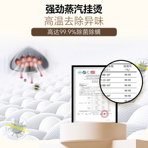 飞利浦挂烫机STE1050蒸汽手持熨烫家用强力 STE1050[全新机标配]