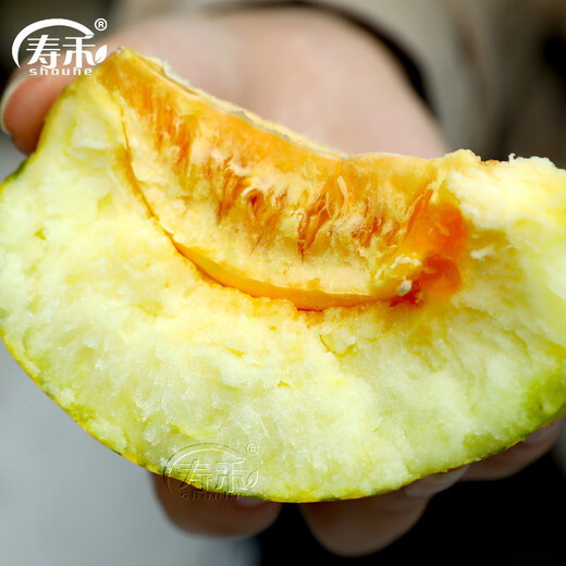 Shouhe Green Skin Melon Seeds Large Whole Melon Flower Skin Melon Seeds 100 capsules x 2 Cost-effective