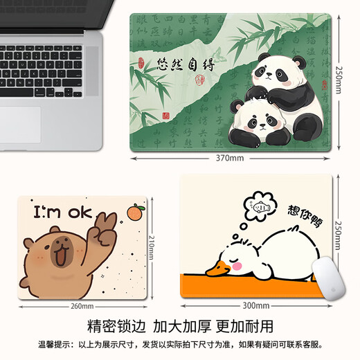 PAD MONDE CAT TROISSEMENTS (SFMCEMQ) PAUT STALL OFFICE BUREAU PAD POUR HOMMES ET FEMMES PADE D'APPRENTISSAGE DE LOCK TEPLES