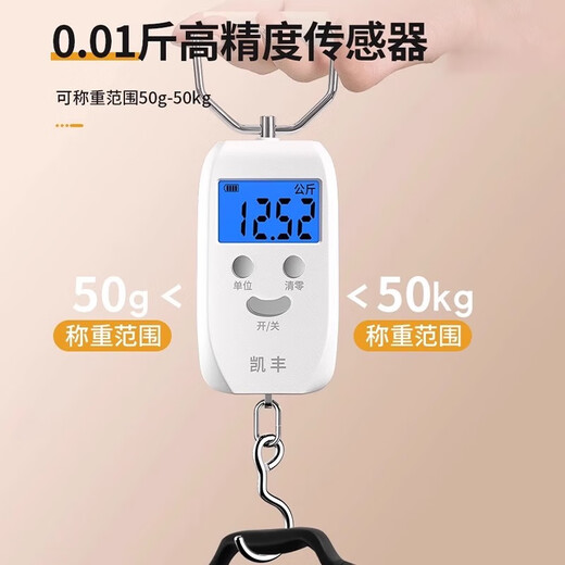 凯丰 便携式手提秤50kg电子称行李秤快递秤弹簧秤电子秤精准克称 【充电款白色】称重0.05kg-50kg