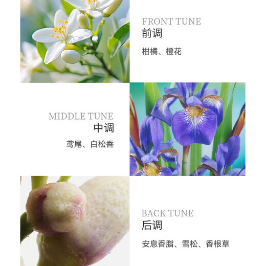 PRADA Dream Iris 10ml (with box, nozzle, no plastic seal) Woody Floral Fragrance Valentine's Day Gift