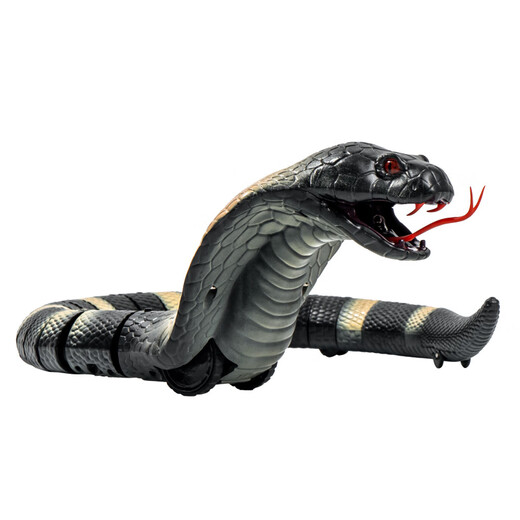 [OFFICIEL] Nouvelle simulation de Tiktok Remote Contrôle Animal Prank Remote Contrôle Remote Contrôle Spider Toy Mini Version - Sensor Cockroach Brown Model 9902A 1