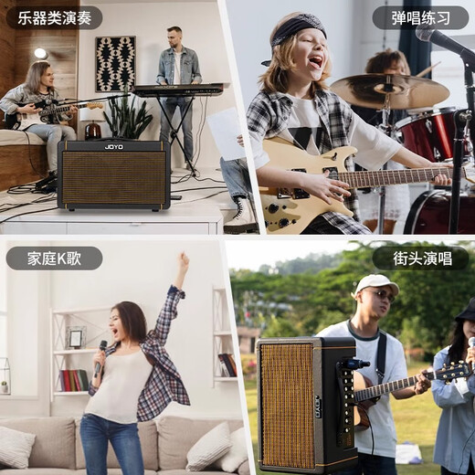 JOYO Guitar Singing Speaker AC40S Outdoor Roadshow Indoor Live Broadcast Internal Recording of Karaoke Charging Bluetooth Speaker AC40S Speaker + Value Accessories Package