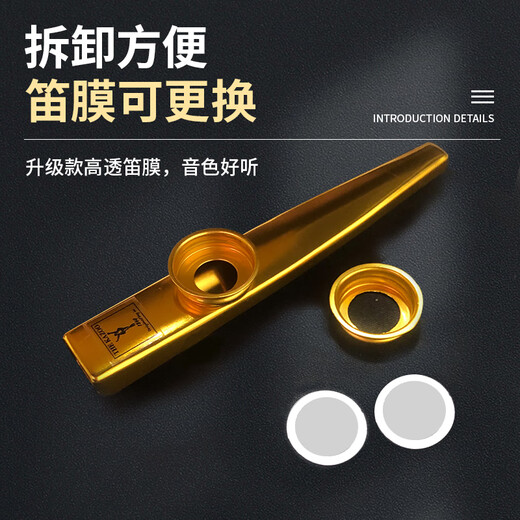 前谷卡祖笛专业初学kazoo金属演奏级小大号吉他尤克里伴奏冷门型乐器 [升级音色更好]极致金全套礼品+备用笛