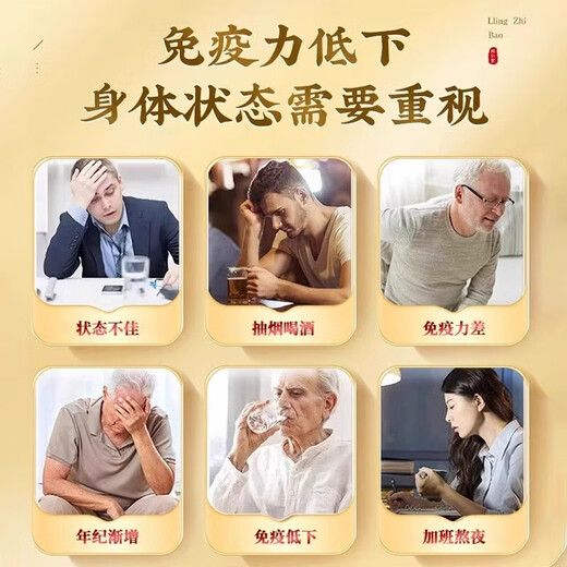 Beijing Tongrentang Ganoderma lucidum spore powder, spore powder, broken wall spore powder, enhance immunity, adult, middle-aged and elderly, visiting gifts 5 boxes [New Year’s goods gift box + 2 gift bags]