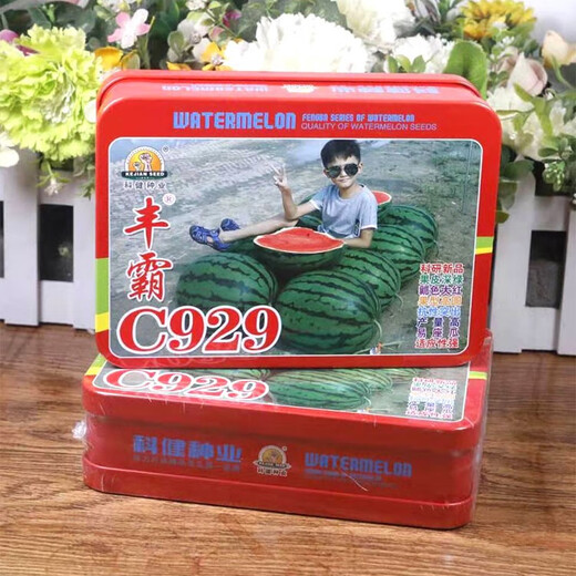 Extra large flower skin watermelon seed C929 high quality large fruit red heart Jingxin thin skin high yield base special seed 10g trial pack