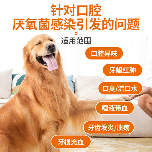 Pointe Pet Dog Bad Breath Stomatitis Gingivitis Periodontitis Oral Ulcer Metronidazole Tablets Cartoli