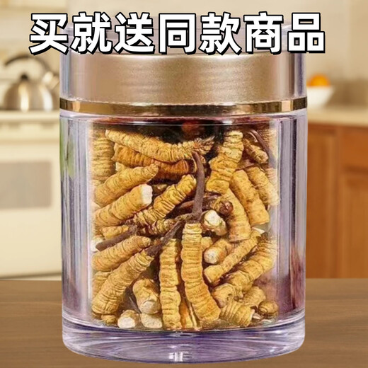 西那藏曲高海拔断冬虫夏草虫草断草大瓶装高海拔自用正宗家庭装 西藏那曲断草100克装送10发110克