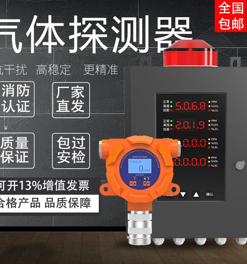 RSRDDY industrial carbon monoxide concentration detector CO catering commercial leakage real-time monitoring fixed detector one host 3 probes