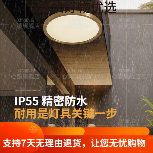 心镜全铜户外吸顶灯别墅大门口门前灯室外过道阳台灯防蚊虫庭 X3893-500/方形