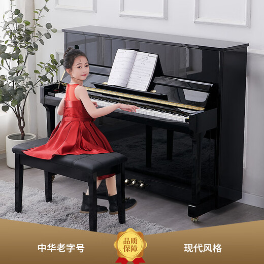 Xinghai Bachdorf piano piano imported from Germany new 88 key vertical piano BU-118