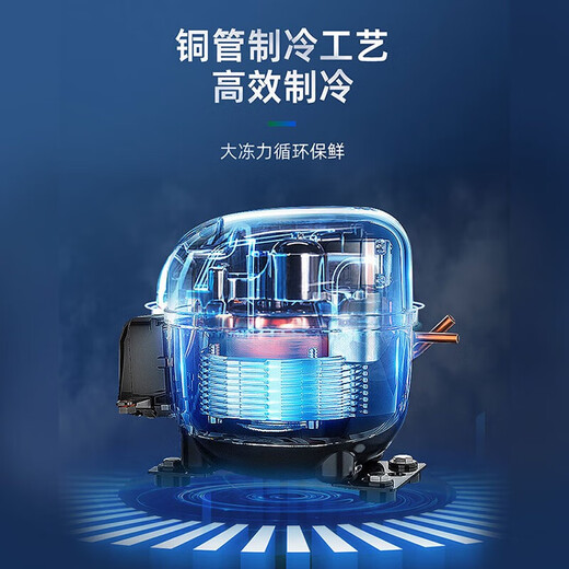 星星（XINGX）四门冰箱商用 -18度全铜管立式冰柜厨房大容量饭店酒店双温冷藏冷冻保鲜柜 铜管-18度1479升冷冻KD-1871G6