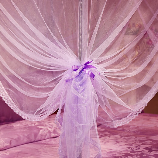 Nanjiren Mosquito Net Three Doors Bold Bracket Palace Floor Top Household Mosquito Net 1.5 Meters