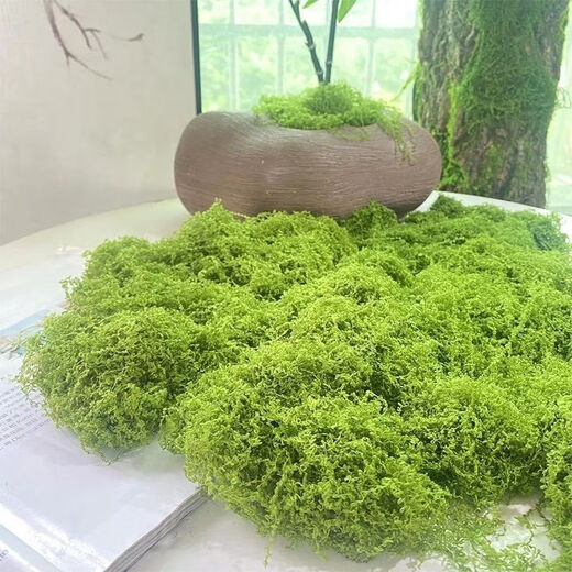 Simulated filamentous moss green micro landscape layout fake lawn fish tank landscaping rockery stone bonsai landscaping pavement dark yellow green 30g free 25g