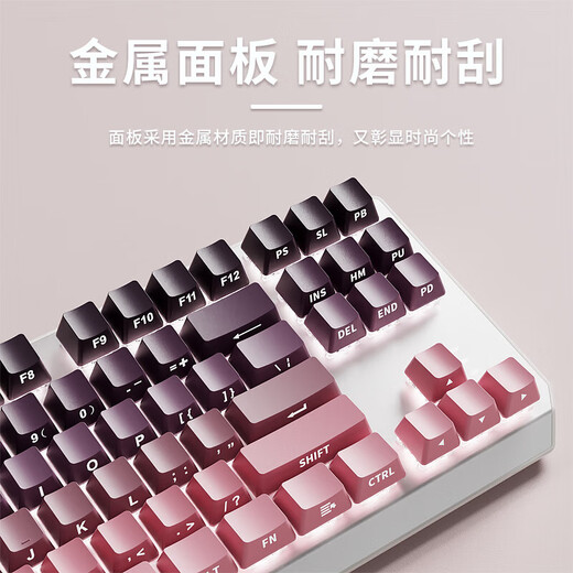 前行者TK870无线蓝牙机械键盘鼠标套装有线三模可选黑莓侧刻高颜值客制化办公游戏电脑笔记本平板iPad用 银白正刻87键白光【有线键盘】 青轴【清脆手感】