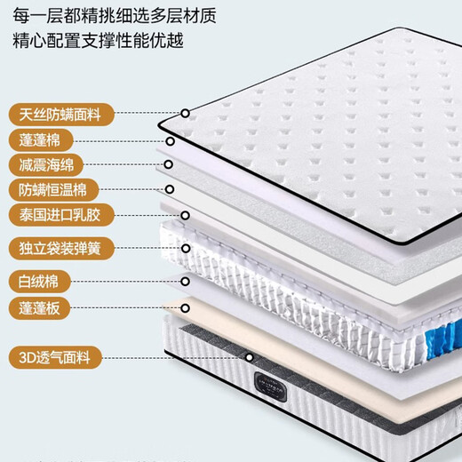 情系海马床垫天然乳胶1.5m1.8独立弹簧家用定制厚椰棕垫十大名牌席梦思 25CM旗舰C:独立弹簧+乳胶+云感棉 1350mm*1900mm